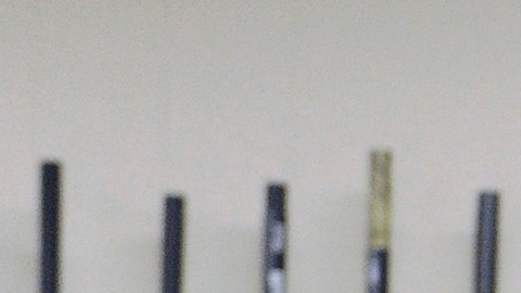 Nueva regla del gobierno de Trump restituirá a ciertos convictos y personas violentas el uso de armas.
