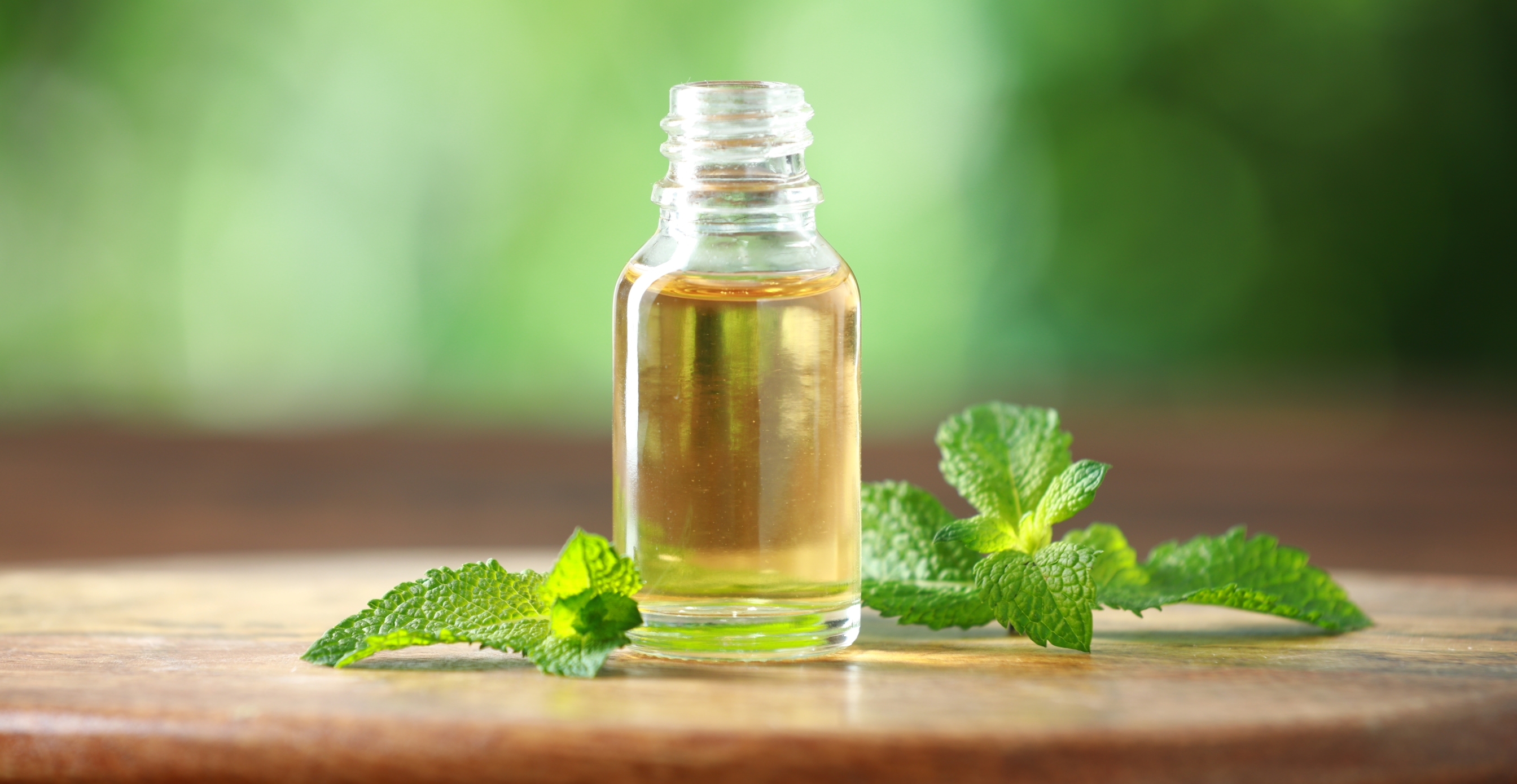 Aceite de menta, una alternativa efectiva para la hipertensión arterial leve