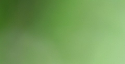 Aceite de menta, una alternativa efectiva para la hipertensión arterial leve