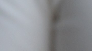 No depende solo del ácido fólico prevenir los defectos de nacimiento, hay que activarlo