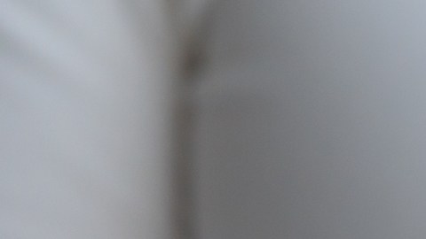 No depende solo del ácido fólico prevenir los defectos de nacimiento, hay que activarlo