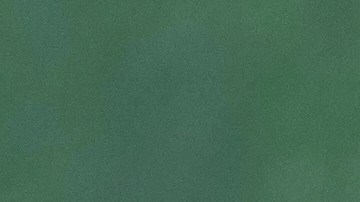 Ariana Grande