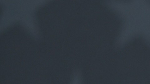 Ariana Grande debuta en la cima del Billboard 200 consu nuevo disco “Petal”