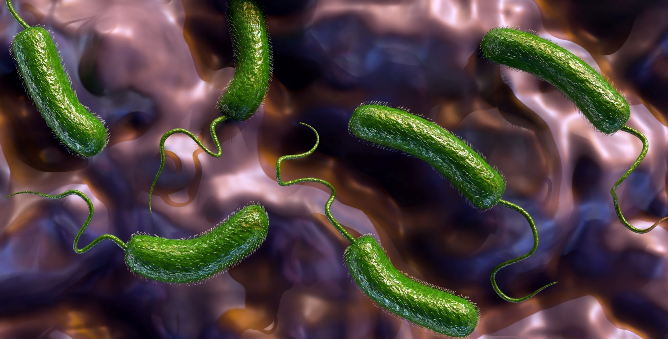 Sube número de muertes por bacteria carnívora en las costas de EE.UU.