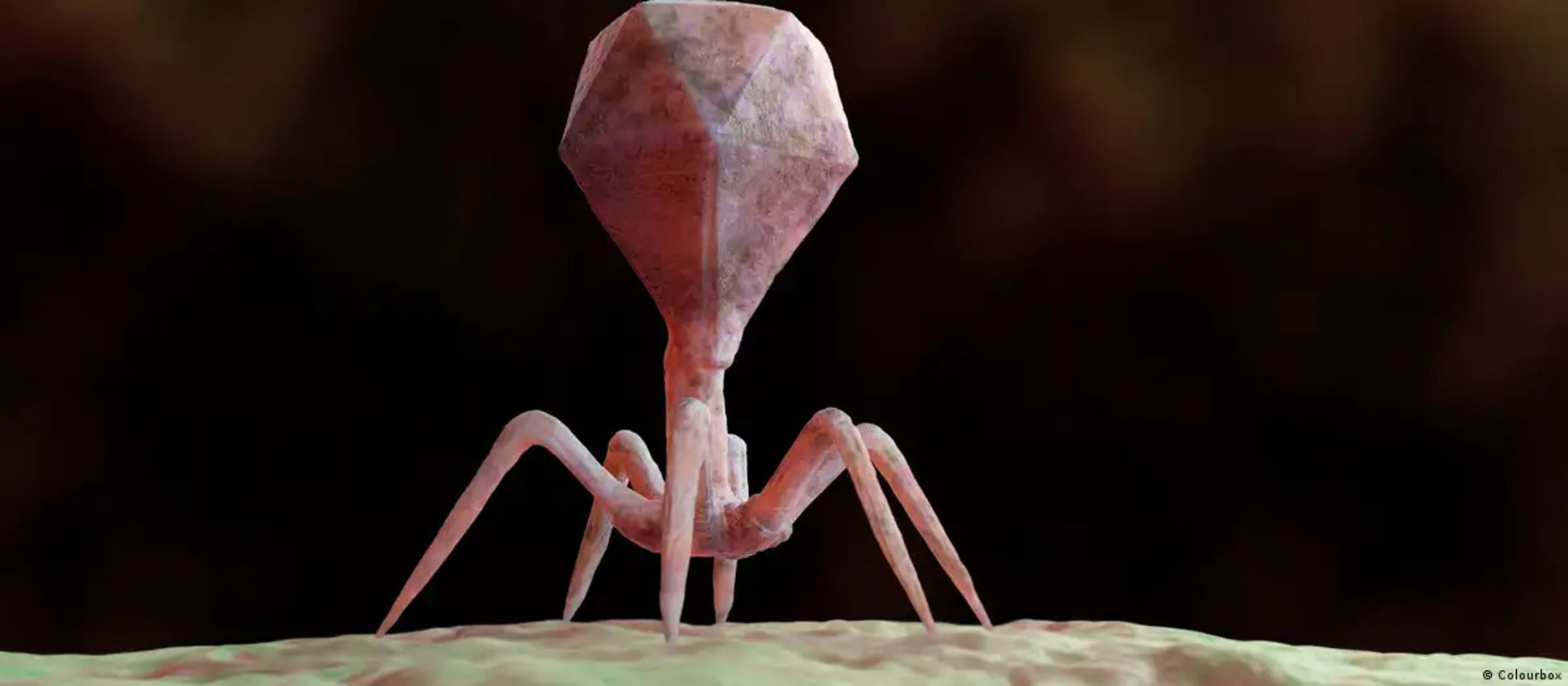 Virus fabricados por inteligencia artificial: el arma inesperada contra las bacterias que resisten todos los antibióticos