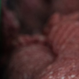 Carne molida