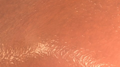 Desarrollan vacunas prometedoras para interceptar el cáncer de colon