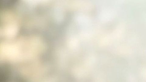 Danna García despidió a su padre con un emotivo mensaje en redes sociales.