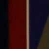 El 60% de los encuestados considera que Trump es poco honesto y digno de confianza.