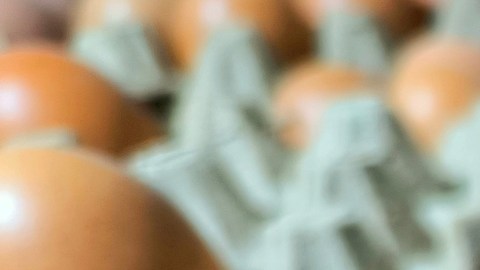 Retiro masivo de huevos: brote de salmonela deja casi una centena de enfermos en 17 estados