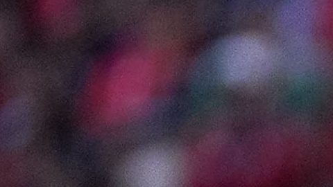 Matías Almeyda, estratega de Rayados de Monterrey.