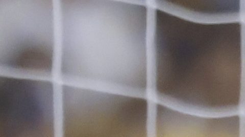 San Nicolás de los Garza, Nuevo León, 21 de agosto de 2026. , durante el partido correspondiente a la jornada 5 del torneo Apertura 2026 de la Liga BBVA MX, entre los Tigres de la UANL y los Potros de Hierro del Atlante FC, realizado en el estadio Universitario. Foto: Imago7/ Ricardo A. Rodríguez
