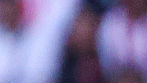 Salomón Rondón celebra el gol que le anotó a Chivas.