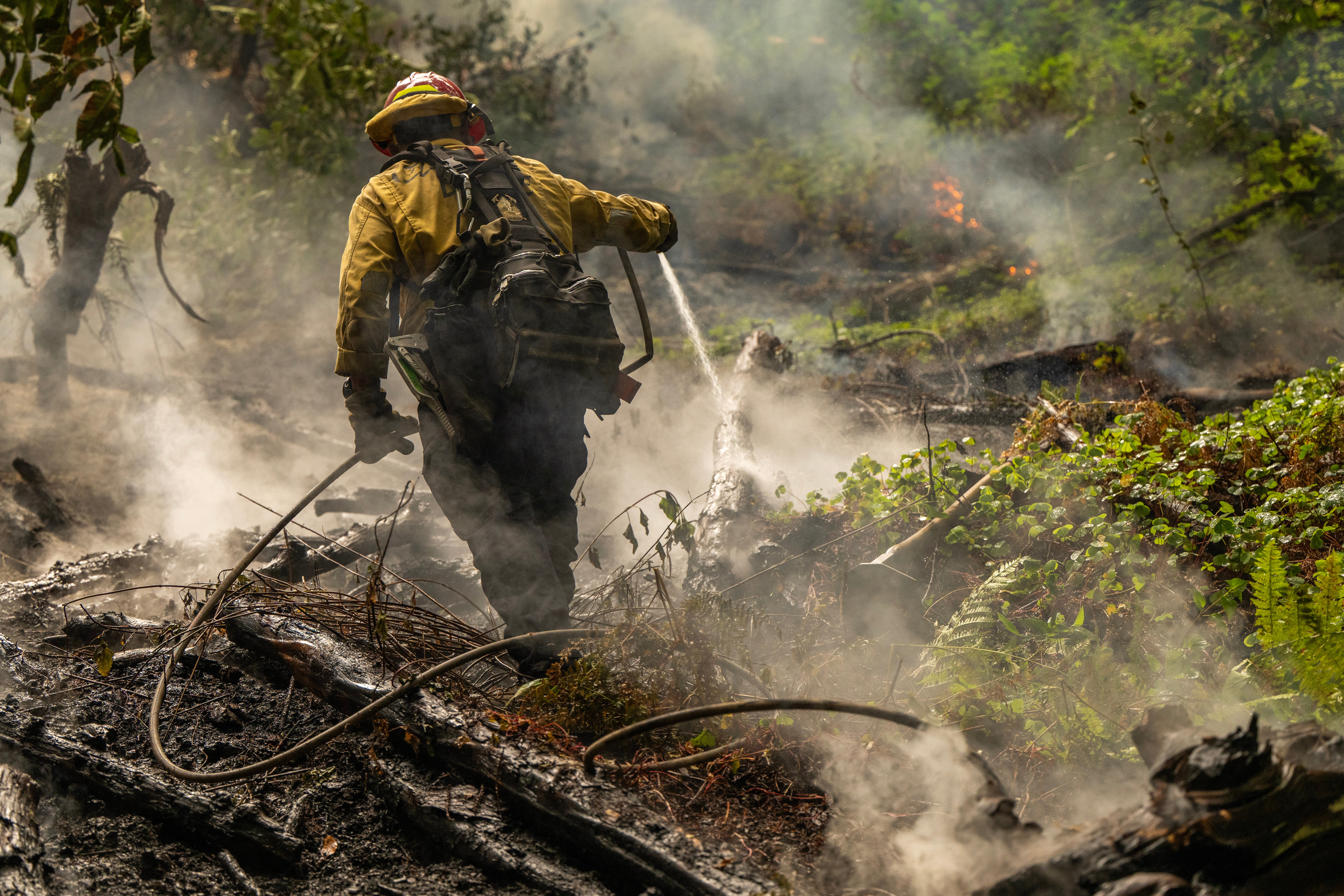 NWS advierte del riesgo de incendios en el sur de California
