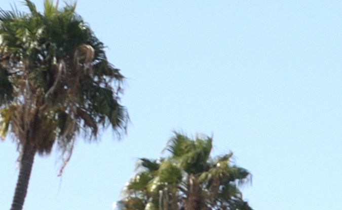Grua remolque sur los angeles
