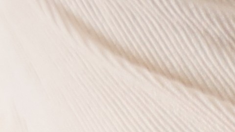 Linternas con baterías, enlatados y documentos vitales son parte de los recursos para un kit de emergencia.