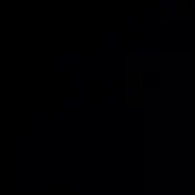 Bajo condiciones específicas, algunos hongos podrían resistir en los polos de la Luna.