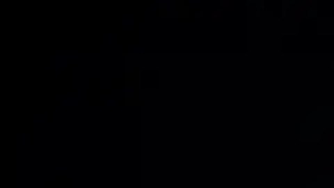 Bajo condiciones específicas, algunos hongos podrían resistir en los polos de la Luna.