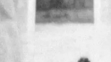 Lydia Jane Wade McWhorter