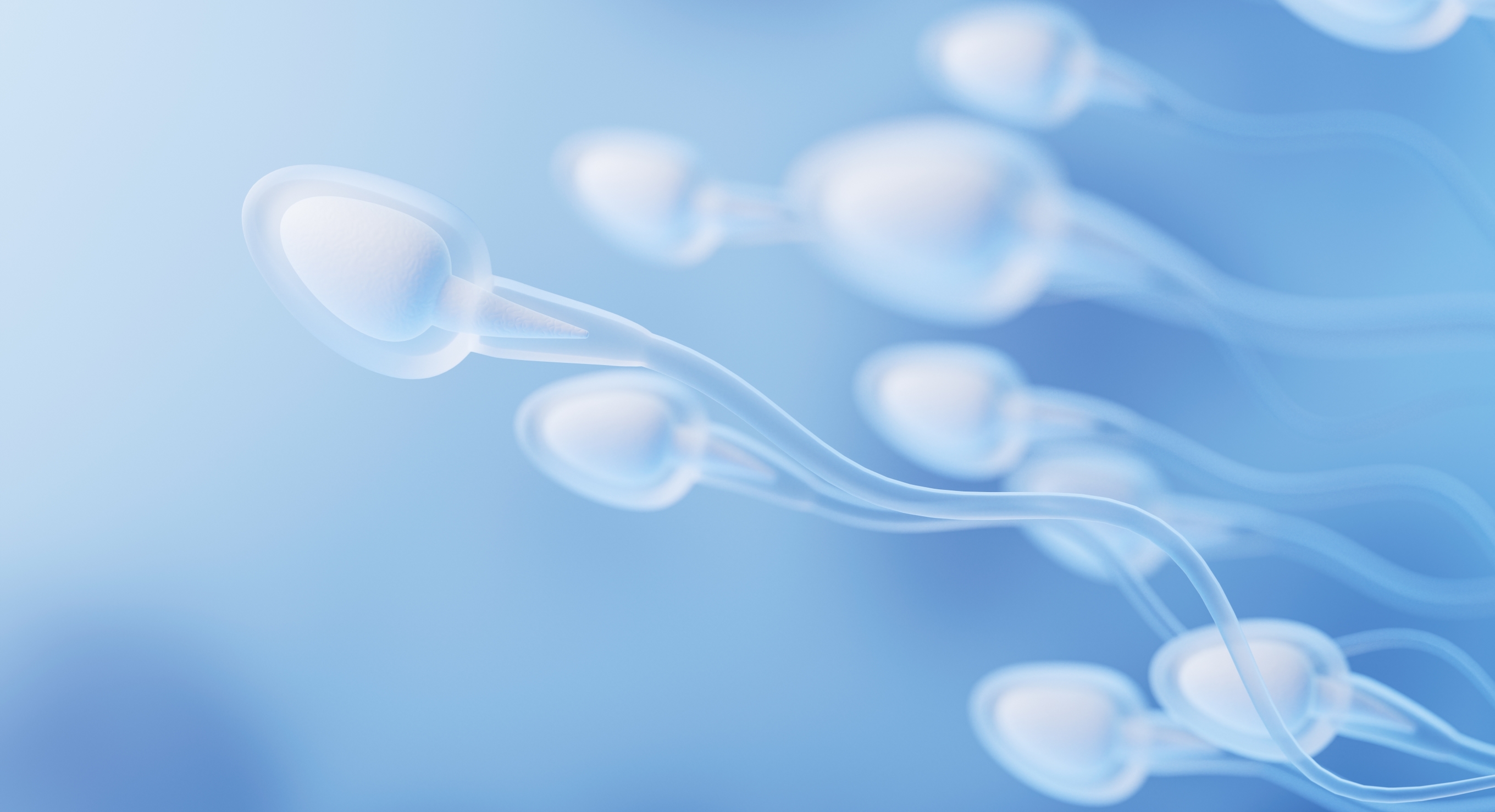 Seguir ciertos hábitos mejorará la calidad de tu esperma