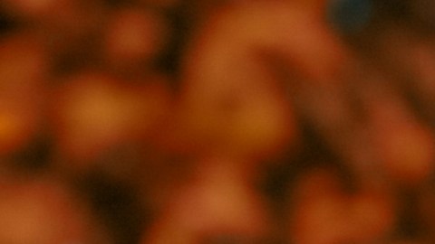 Efectos neurológicos de un eclipse solar: lo que lo hace fascinante para el cerebro