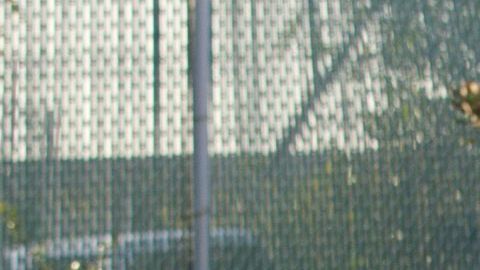 Operativos migratorios y detenciones recientes elevan la preocupación entre comunidades inmigrantes en Estados Unidos.