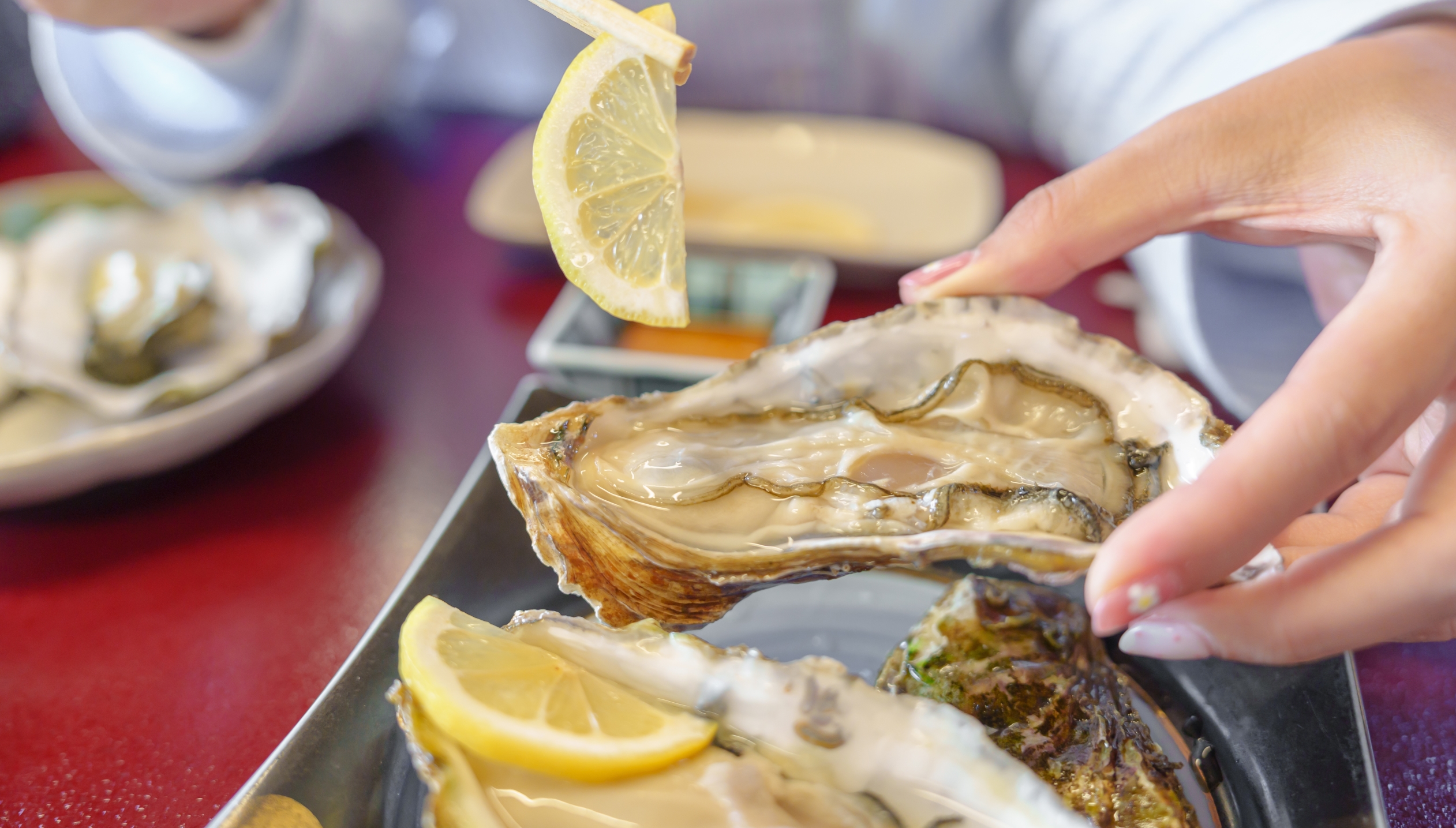 Un hombre sufrió una lesión cerebral tras comer ostras en un restaurante: ¿qué explica este fenómeno?