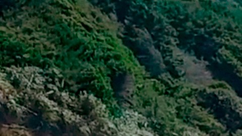 FILE - This March 28, 2018, aerial file photo taken from Alameda County Sheriff's Office drone video, courtesy of Mendocino County, shows the pullout where the SUV of Jennifer and Sarah Hart was recovered off Pacific Coast Highway 1, near Westport, Calif. On Saturday, April 7, 2018, the Mendocino County Sheriff’s office said a body has been recovered in the vicinity where the SUV plunged off a cliff, killing the family of eight in March 2018. (Alameda County Sheriff's Office via AP, File)
