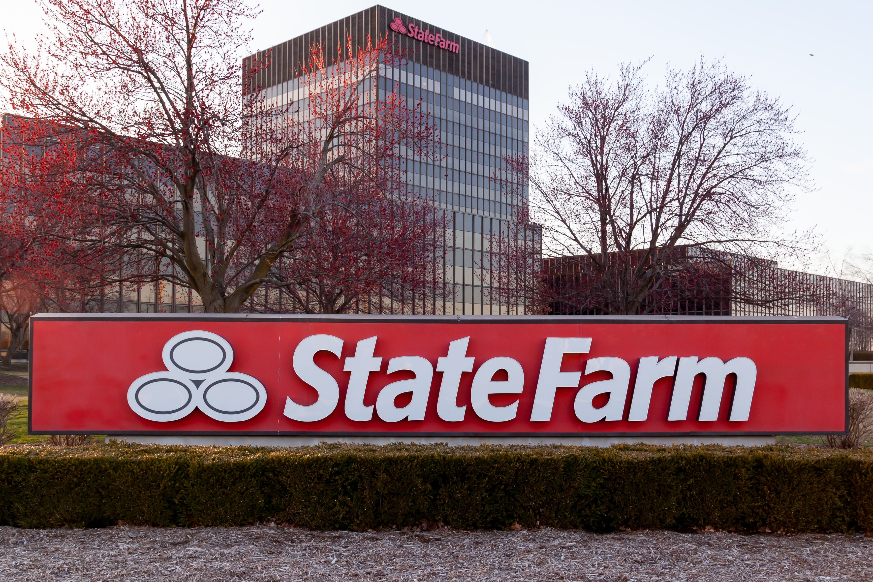 State Farm envía $5,000 millones a sus clientes: ¿recibirás un cheque?