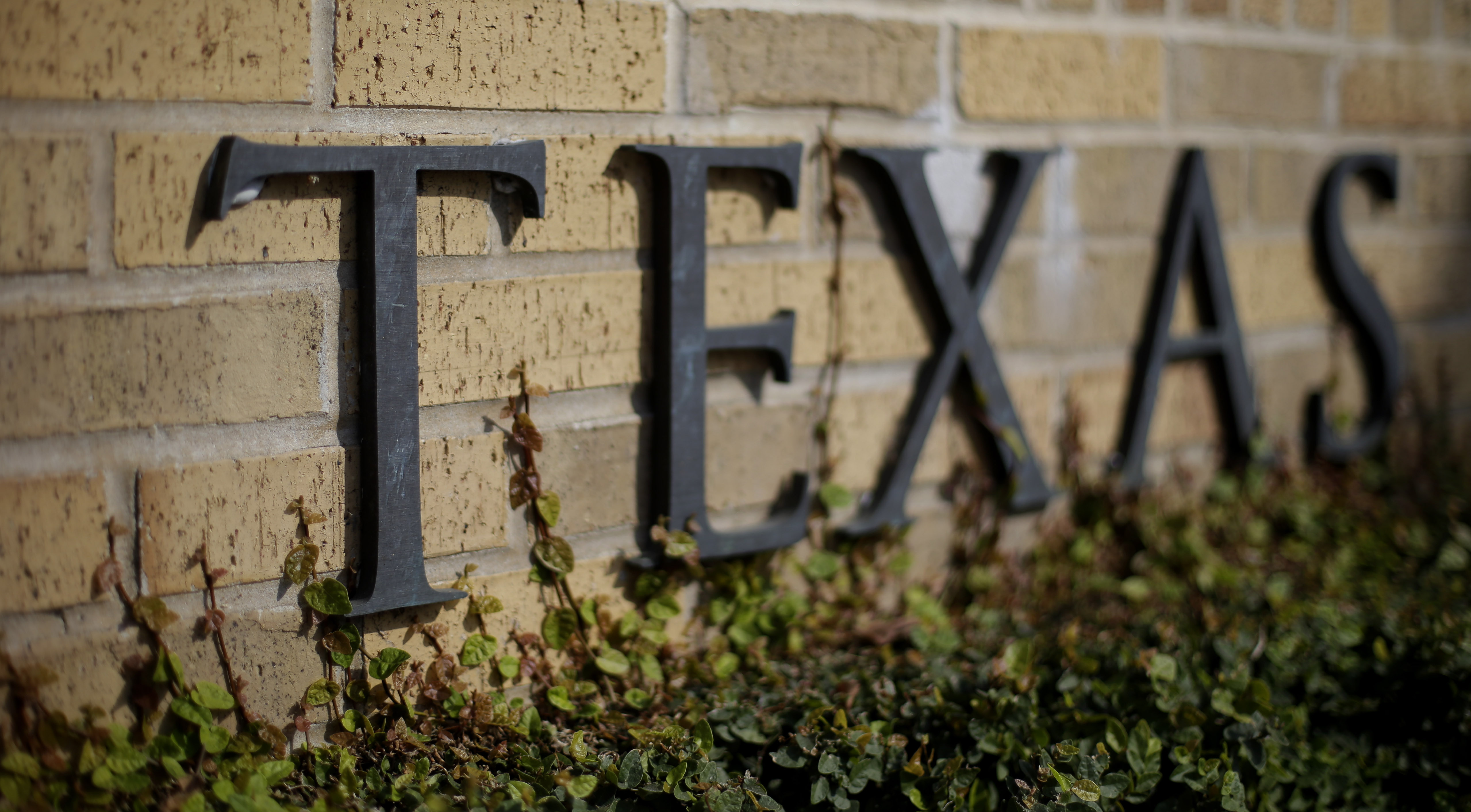 Profesores en Texas demandan a Gobierno por restricciones académicas y prohibir libros
