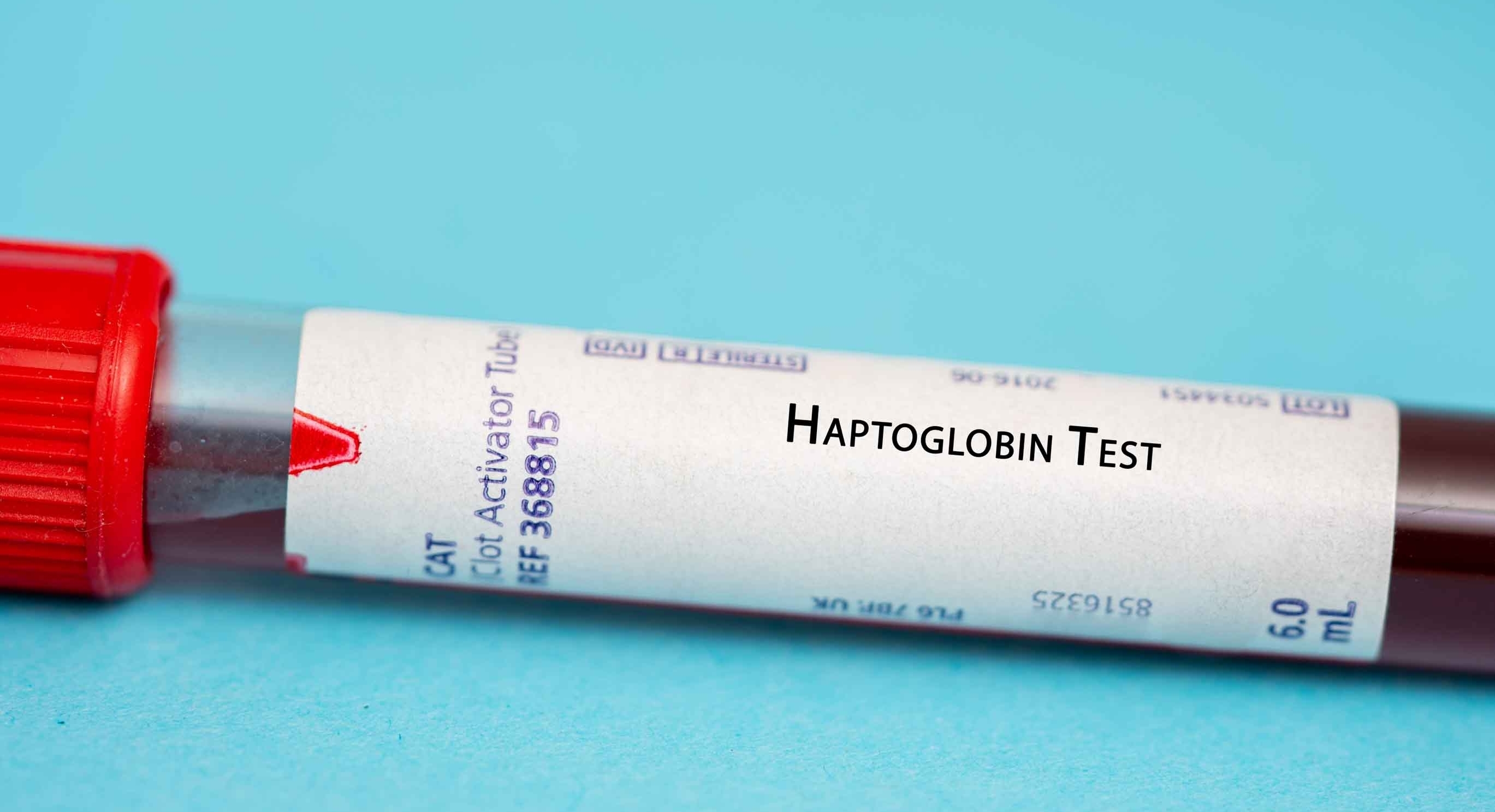 Anemia hemolítica, la enfermedad rara que sufrió el rey de Noruega