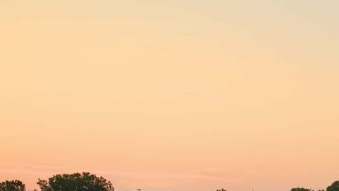 Ram kit Direct Connection para la 1500 Rumble Bee