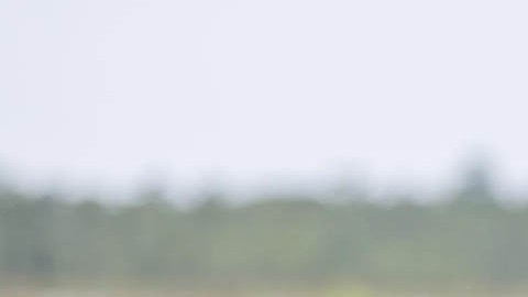 Ron DeSantis, gobernador de Florida