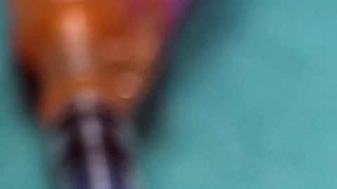 Administración Trump fija nuevos criterios para la vacunación infantil: ¿qué cambios traen?