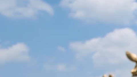 El calor extremo está cambiando la vida de los estadounidenses: ¿cuál es su impacto?