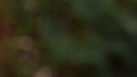 El horóscopo de cada signo puede predecir su peor hábito en una cita.