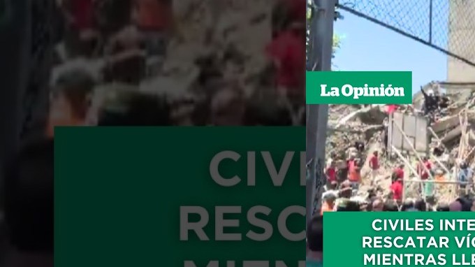 Image desc