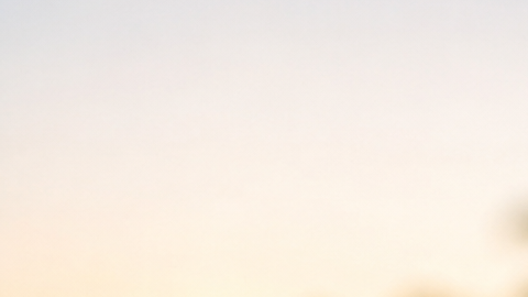 Mosquito Aedes aegypti posado sobre la piel humana al atardecer en Florida, imagen ilustrativa sobre el riesgo de dengue.
