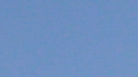 SpaceX planea desplegar su propia red de telefonía móvil terrestre para competir con compañías como T-Mobile