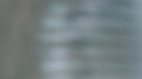 Algunos signos salen huyendo hacia la libertad antes que salir lastimados.