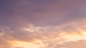 Vista urbana de Texas con viviendas, rascacielos y una gran bandera estatal en primer plano al atardecer