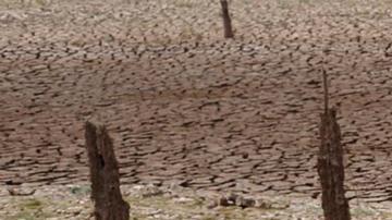 El mundo en "zona de peligro" de clima extremo por El Niño