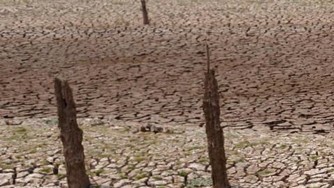 El mundo en "zona de peligro" de clima extremo por El Niño