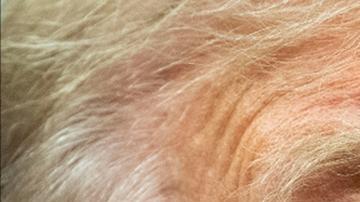 Trump habla por teléfono con Putin y pide fin de la guerra
