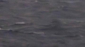 ¿Atado permanentemente al Golfo? Un avión de combate estadounidense despega de un portaaviones para lanzar un ataque contra Irán.