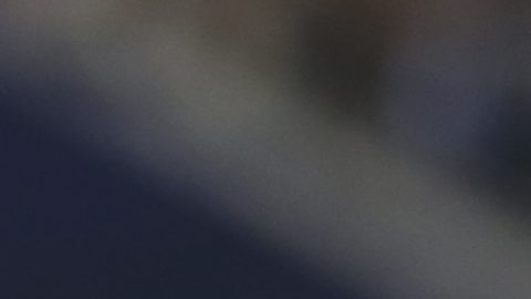 Guillermo Almada, estratega del Club América.