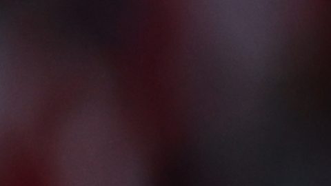 PSG's head coach Luis Enrique celebrates after the Champions League final soccer match between Paris Saint-Germain and Arsenal in Budapest, Hungary, Saturday, May 30, 2026. AP Photo/Armin Durgut)