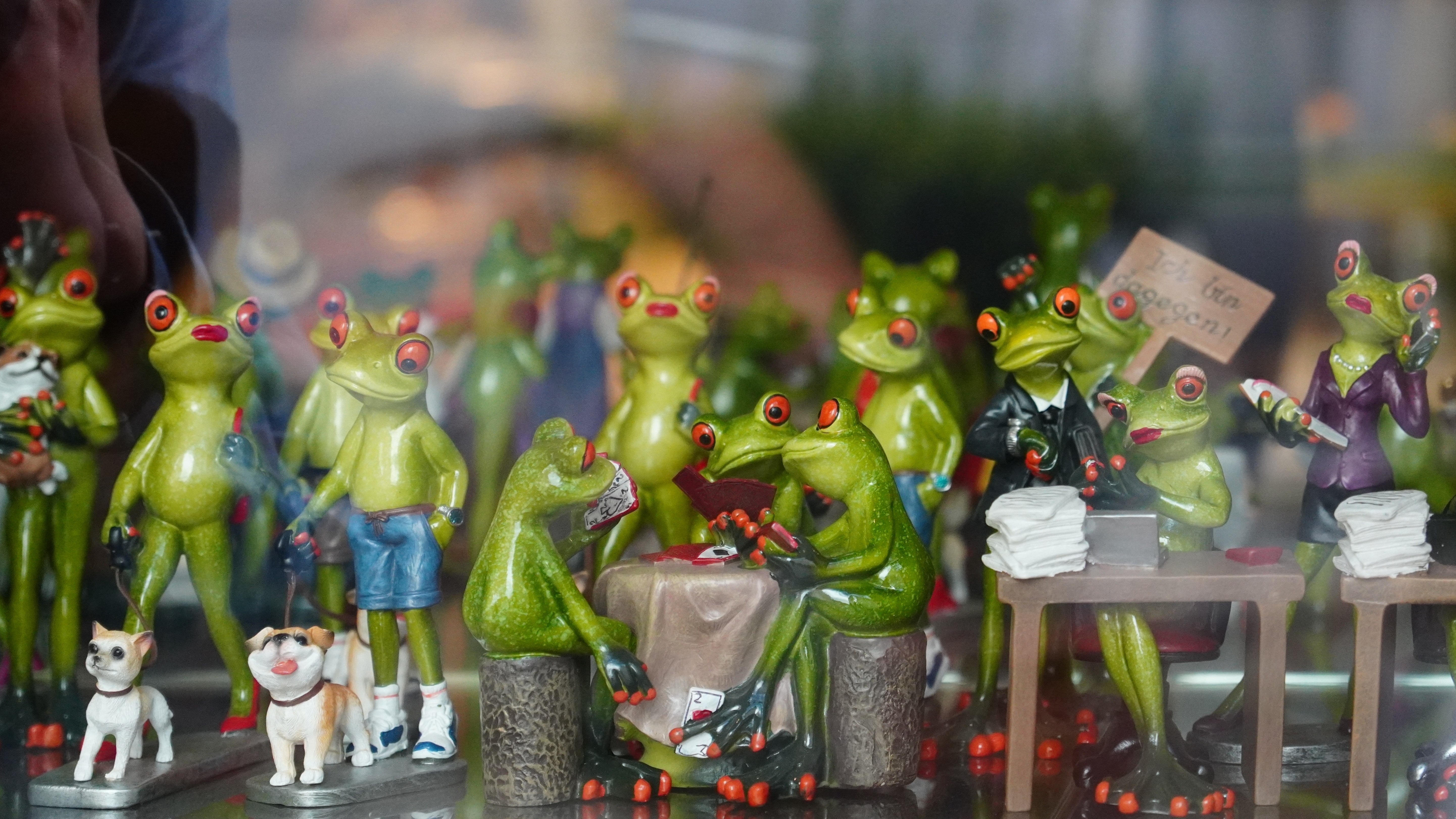 Mujer de California tiene más de 13,000 ranas: la colección que rompió un récord mundial