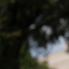 Tom Homan envía fuerte mensaje a nueva caravana migrante.