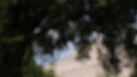 Tom Homan envía fuerte mensaje a nueva caravana migrante.